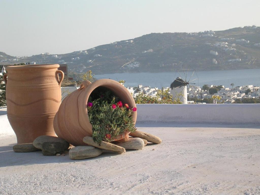 La Veranda of Mykonos Traditional Guesthouse Mykonos Town Exterior foto